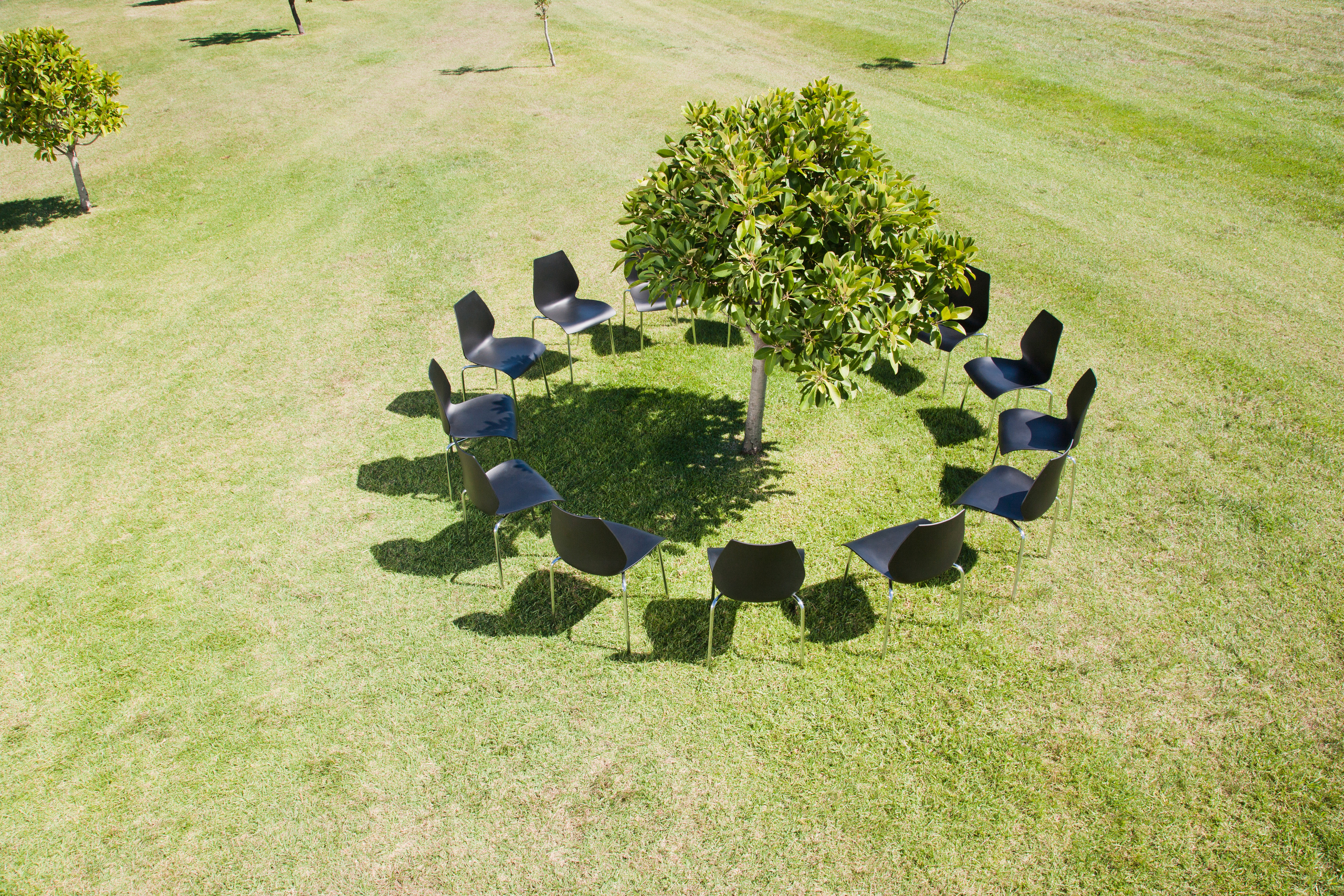 Sustainable Event Strategies: Circle of office chairs around tree in field